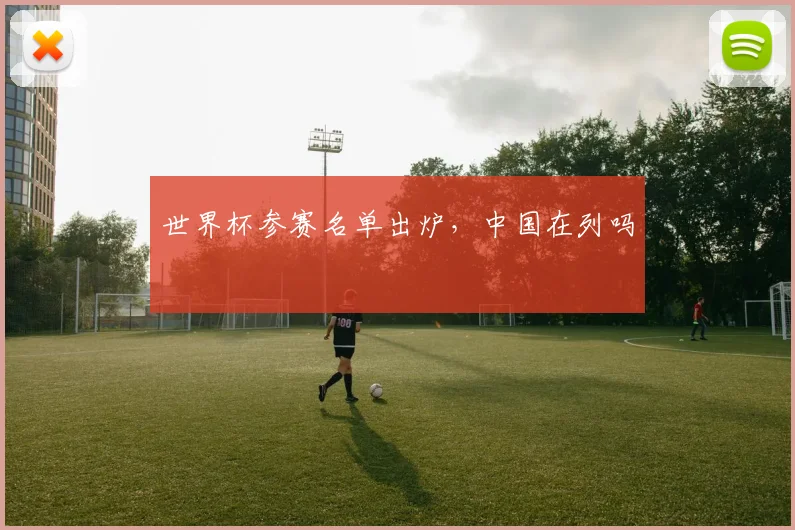 世界杯参赛名单出炉,中国在列吗