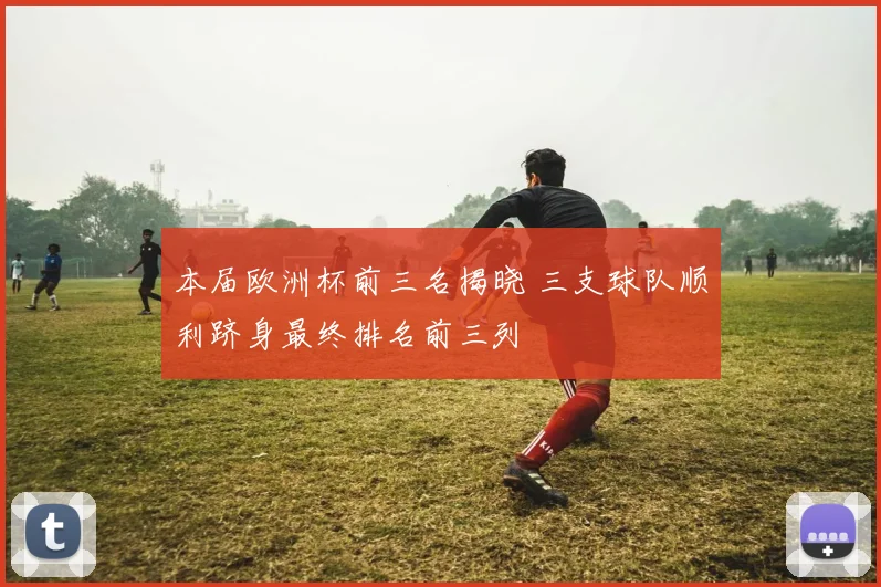 本届欧洲杯前三名揭晓 三支球队顺利跻身最终排名前三列