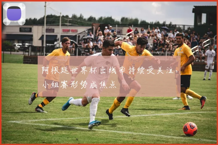阿根廷世界杯出线率持续受关注，小组赛形势成焦点